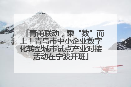 青甬联动，乘“数”而上！青岛市中小企业数字化转型城市试点产业对接活动在宁波开班