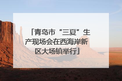 青岛市“三夏”生产现场会在西海岸新区大场镇举行