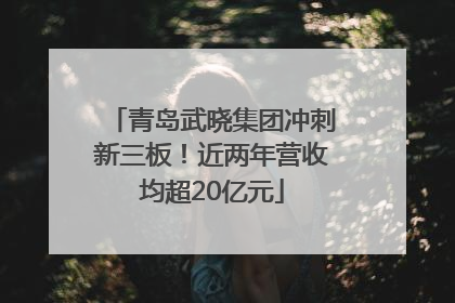 青岛武晓集团冲刺新三板！近两年营收均超20亿元