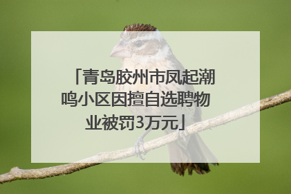 青岛胶州市凤起潮鸣小区因擅自选聘物业被罚3万元