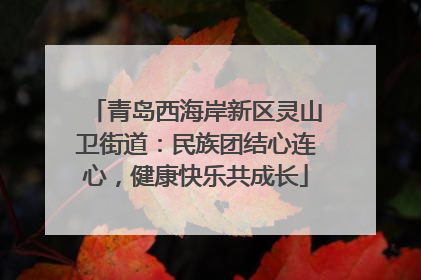 青岛西海岸新区灵山卫街道：民族团结心连心，健康快乐共成长