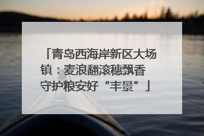 青岛西海岸新区大场镇：麦浪翻滚穗飘香 守护粮安好“丰景”