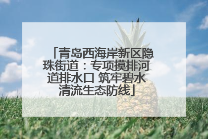 青岛西海岸新区隐珠街道：专项摸排河道排水口 筑牢碧水清流生态防线