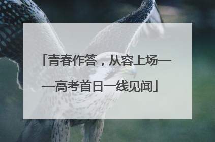 青春作答，从容上场——高考首日一线见闻
