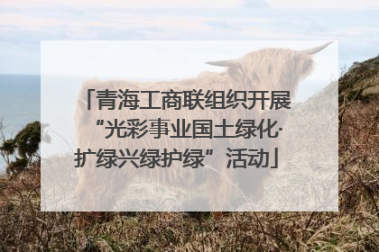 青海工商联组织开展“光彩事业国土绿化·扩绿兴绿护绿”活动