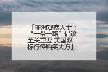 非洲观察人士：“一带一路”倡议至关重要 美国双标行径贻笑大方