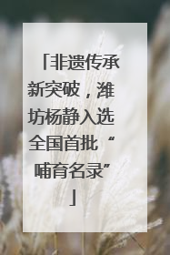 非遗传承新突破，潍坊杨静入选全国首批“哺育名录”