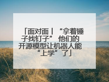 面对面丨“拿着锤子找钉子” 他们的开源模型让机器人能“上学”了