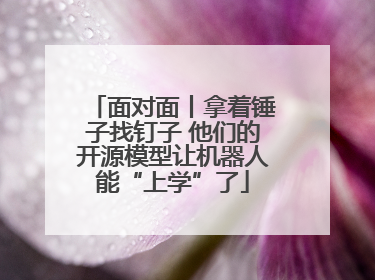 面对面丨拿着锤子找钉子 他们的开源模型让机器人能“上学”了