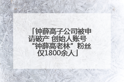 钟薛高子公司被申请破产 创始人账号“钟薛高老林”粉丝仅1800余人