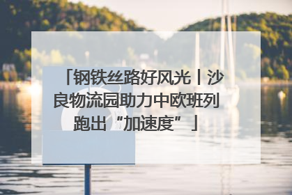 钢铁丝路好风光丨沙良物流园助力中欧班列跑出“加速度”