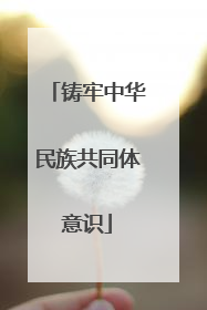 铸牢中华民族共同体意识