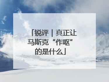 锐评｜真正让马斯克“作呕”的是什么