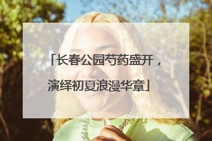 长春公园芍药盛开，演绎初夏浪漫华章