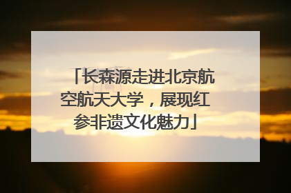 长森源走进北京航空航天大学，展现红参非遗文化魅力