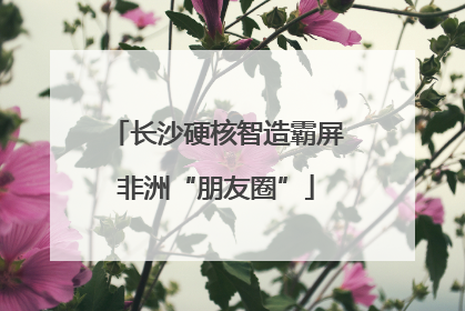 长沙硬核智造霸屏非洲“朋友圈”
