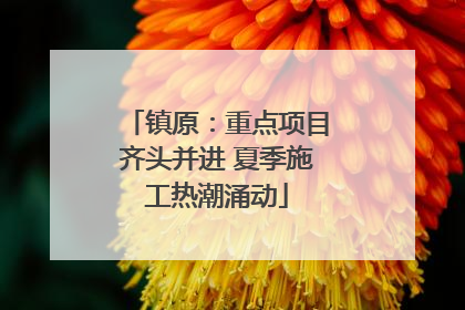镇原：重点项目齐头并进 夏季施工热潮涌动