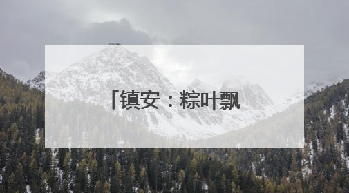 镇安：粽叶飘香承古韵 志愿传情暖端午