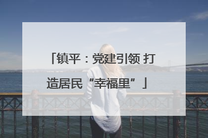 镇平：党建引领 打造居民“幸福里”