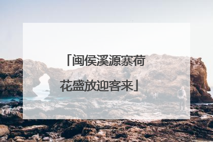 闽侯溪源寨荷花盛放迎客来