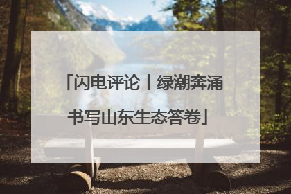 闪电评论丨绿潮奔涌 书写山东生态答卷