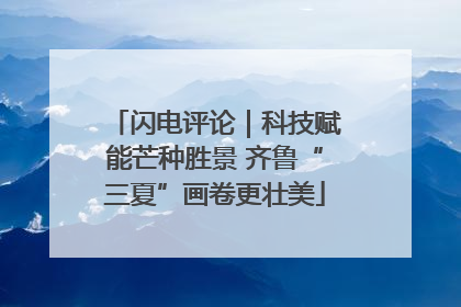 闪电评论｜科技赋能芒种胜景 齐鲁“三夏”画卷更壮美