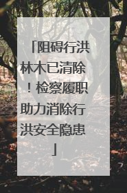 阻碍行洪林木已清除！检察履职助力消除行洪安全隐患