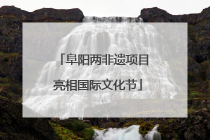 阜阳两非遗项目亮相国际文化节
