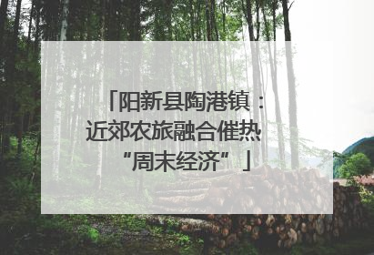 阳新县陶港镇：近郊农旅融合催热“周末经济”
