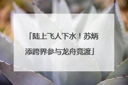 陆上飞人下水！苏炳添跨界参与龙舟竞渡
