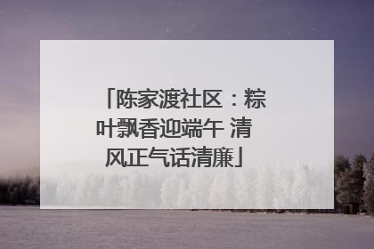 陈家渡社区：粽叶飘香迎端午 清风正气话清廉