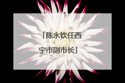 陈永钦任西宁市副市长