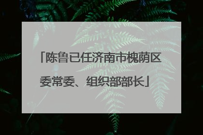 陈鲁已任济南市槐荫区委常委、组织部部长