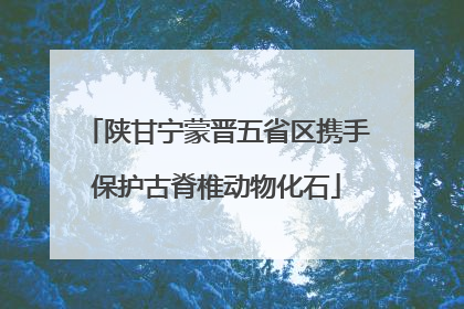 陕甘宁蒙晋五省区携手保护古脊椎动物化石