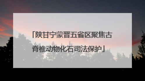陕甘宁蒙晋五省区聚焦古脊椎动物化石司法保护