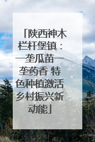 陕西神木栏杆堡镇：一垄瓜苗一垄药香 特色种植激活乡村振兴新动能