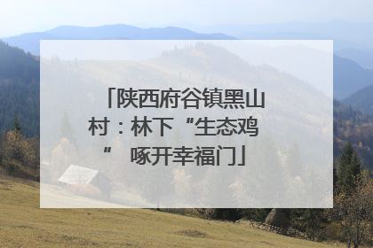 陕西府谷镇黑山村：林下“生态鸡” 啄开幸福门