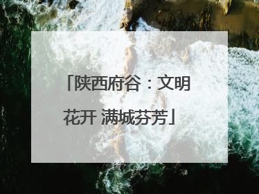 陕西府谷：文明花开 满城芬芳