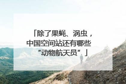 除了果蝇、涡虫，中国空间站还有哪些“动物航天员”