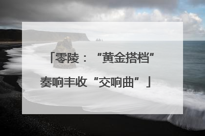 零陵：“黄金搭档”奏响丰收“交响曲”