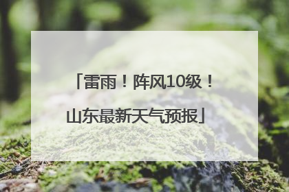 雷雨！阵风10级！山东最新天气预报