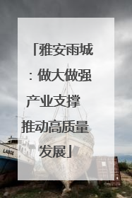 雅安雨城：做大做强产业支撑 推动高质量发展