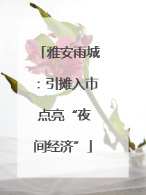 雅安雨城：引摊入市 点亮“夜间经济”