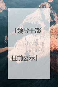 领导干部任前公示
