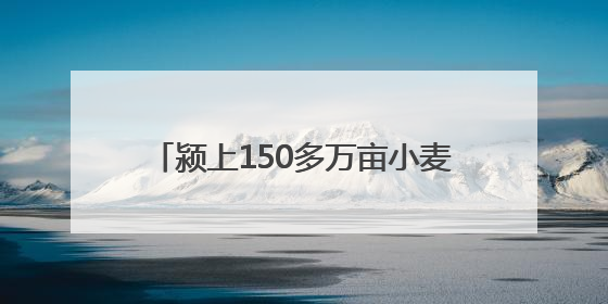 颍上150多万亩小麦即将全面抢收 贴心服务为跨区农机保驾护航