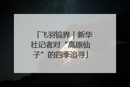 飞羽镜界｜新华社记者对“高原仙子”的四季追寻
