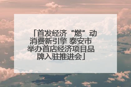 首发经济“燃”动消费新引擎 泰安市举办首店经济项目品牌入驻推进会