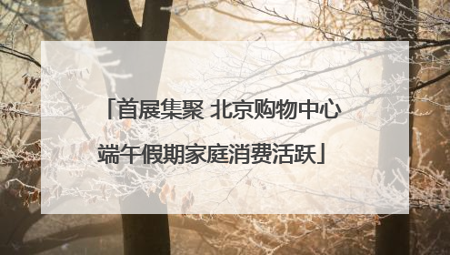 首展集聚 北京购物中心端午假期家庭消费活跃