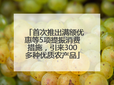 首次推出满额优惠等5项提振消费措施，引来300多种优质农产品