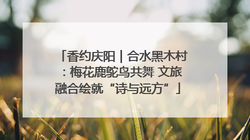 香约庆阳｜合水黑木村：梅花鹿鸵鸟共舞 文旅融合绘就“诗与远方”
